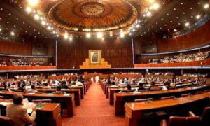 بچوں سے زیادتی پر قومی اسمبلی کی خصوصی کمیٹی، مریم اورنگزیب سربراہ منتخب | humnews.pk