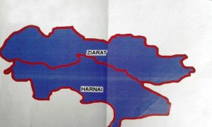 قربانیاں ضائع نہیں ہونے دیں گے، سیکٹر کمانڈر