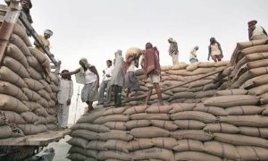 افغانستان کو گندم فراہم کرنے کی سمری منظور