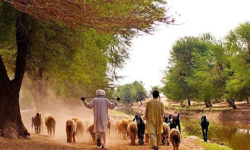 بدلتے گاؤں اور گاؤں والے۔۔۔! - ہم نیوز