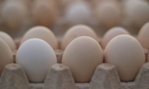 ایک ہفتے کے دوران انڈے 16 روپے فی درجن مہنگے، ادارہ شماریات