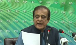 مریم نواز پر مقدمات ہیں اور وہ دھمکیاں دے رہی ہیں، شبلی فراز