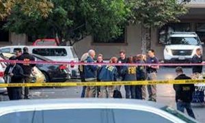 امریکہ میں فائرنگ سے 12 افراد ہلاک، 52 زخمی
