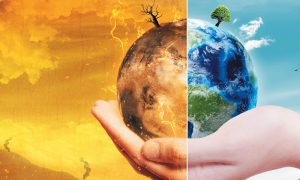 ماحولیاتی نظام کی بہتری کیلئے پاکستان کی کوششیں قابل تعریف ہیں، عالمی رہنما