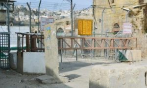 اسرائیلی حکام نے فلسطینوں کے خلاف قتل عام کا لائسنس جاری کردیا؟