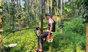 لمبے درختوں پہ چڑھائی، اب ہوئی آسان: کسان نے لفٹس جیسا اسکوٹر بنا لیا