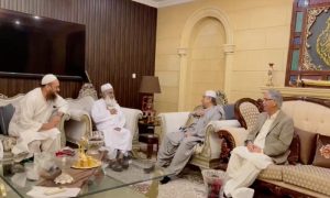 آصف زرداری اور فضل الرحمان کے درمیان ملاقات: کابینہ کی تشکیل پر اہم مشاورت