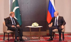 پاکستان کو پائپ لائن کے ذریعے گیس کی فراہمی ممکن ہے، روسی صدر کی وزیر اعظم کو یقین دہانی